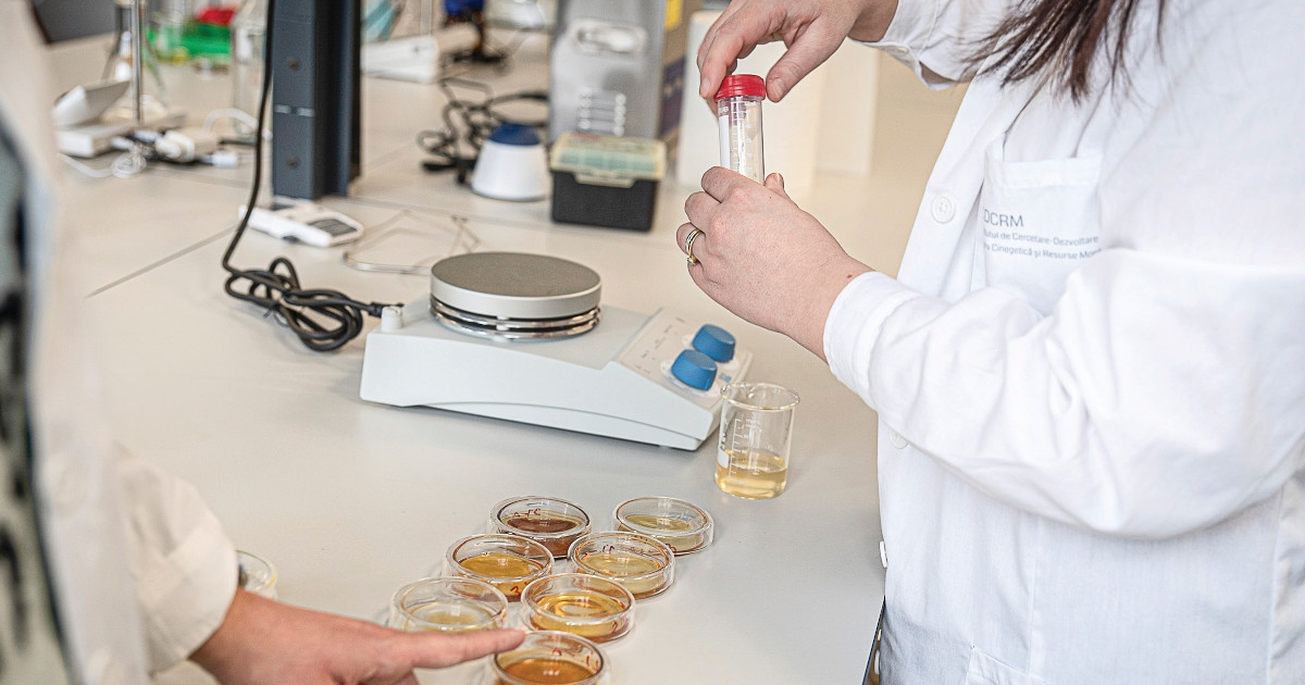 Modern kutatóintézet Székelyföld fejlődéséért